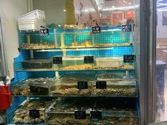 -北戴河庆山饭店·海鲜砂锅粥(北戴河黑石路店)