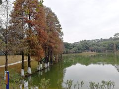 -东莞植物园