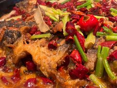 -老板恋上鱼(恒隆广场店)