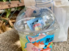 苦瓜灭火膏-茶救星球·蔬果茶(区庄店)