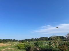 -空港花田景区
