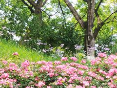 -重庆平顶山公园