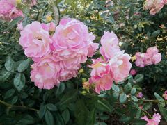 -人民公园(罗湖区)