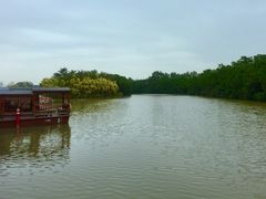 -大湾区中央湿地公园