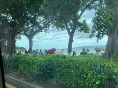 -演武大桥观景平台