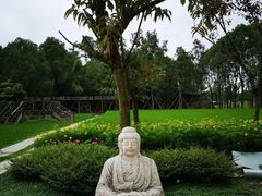 -洪湖家庭农场·团建·露营·会议