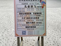 -西双版纳原始森林公园