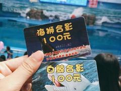 -多彩贵州城极地海洋世界