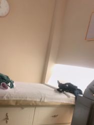 -诗媛嘉美健康管理中心(金桥店)