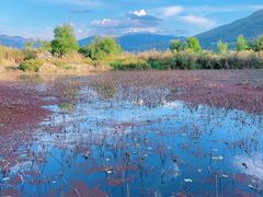 -西昌邛海湿地