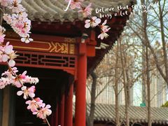 -碑林公园