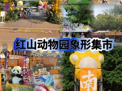 -红山森林动物园