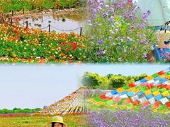 -汉长安城未央宫国家考古遗址公园