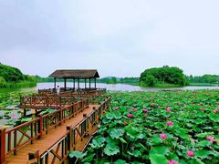 -上海市保健医疗中心