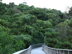 -狐尾山公园