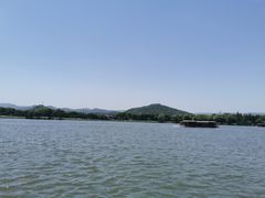 -鲁镇
