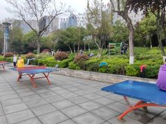 -汉江公园