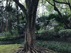 -柳侯公园