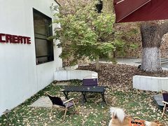 -J Create城市露营咖啡·简餐·宠物(上海动物园店)