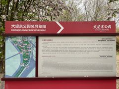 -大望京公园