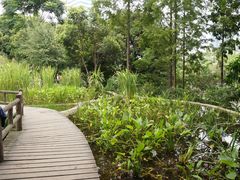 植物塘床系统-成都市活水公园