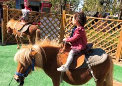 -萌宠亲子动物乐园(槐房万达店)