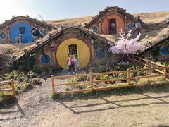 -武汉紫薇都市田园