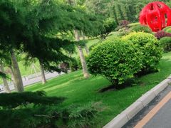 -棒棰岛宾馆景区