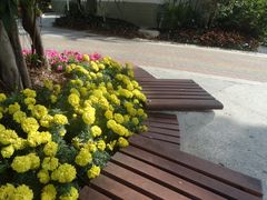 -人民公园(罗湖区)