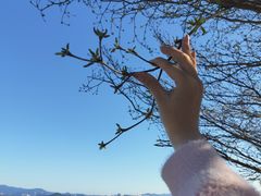 -深圳湾公园(南山区)
