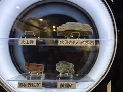 -上海儿童博物馆