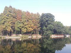 -潮喜竹溪荔湖酒家(荔枝湾店)