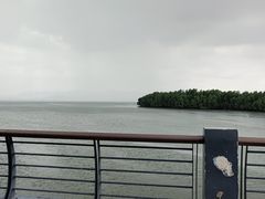 -深圳湾公园(南山区)