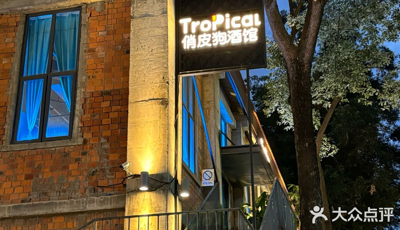 成都/真的好有氛围感一家酒馆[啤酒] 