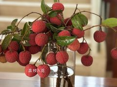 -小榄人家酒楼(民安店)
