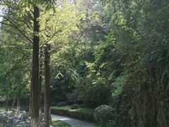 -幕燕滨江·长江观音景区