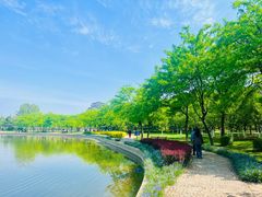 -泰丰公园