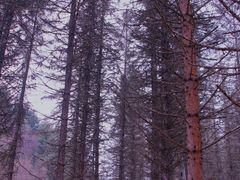 -硗碛藏寨·神木垒景区