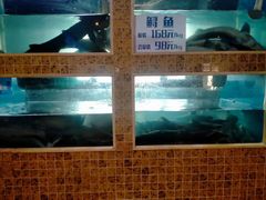 -大河宴·椒麻鱼火锅(克拉玛依西路头宫店)