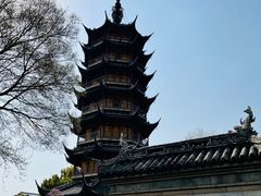 -红梅公园