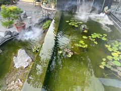 -蘇河湾·新鲁菜·泰山宴(泰山店)