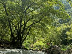 -雅鲁激流探险漂流