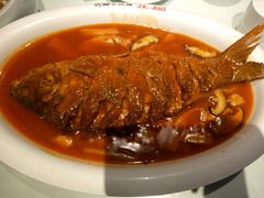 -阿五黄河大鲤鱼(纬三路店)