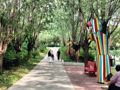 -西部长青自然儿童乐园