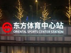-东方体育中心(地铁站)