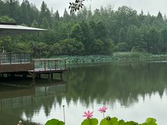 -上海怡沁园度假酒店
