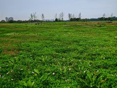 -汉长安城未央宫国家考古遗址公园