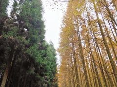 -山王坪喀斯特国家生态公园