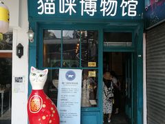 -猫咪博物馆(顶澳仔猫街店)