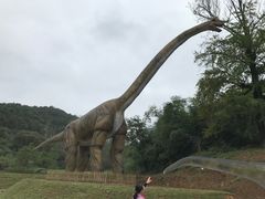 -千年银杏谷文化旅游区